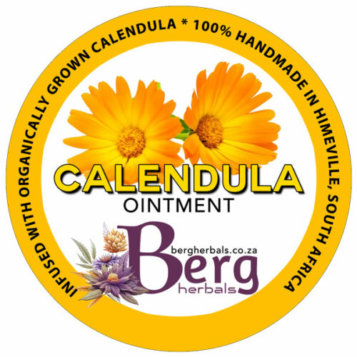 Calendula Herbal Ointment Salve • Made in South Africa • HIGH POTENCY